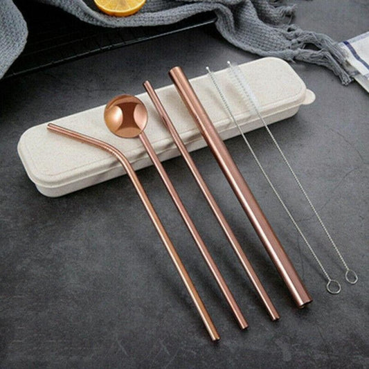 Stainless Steel Straws with spoon