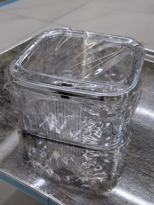 Organizer with lid large