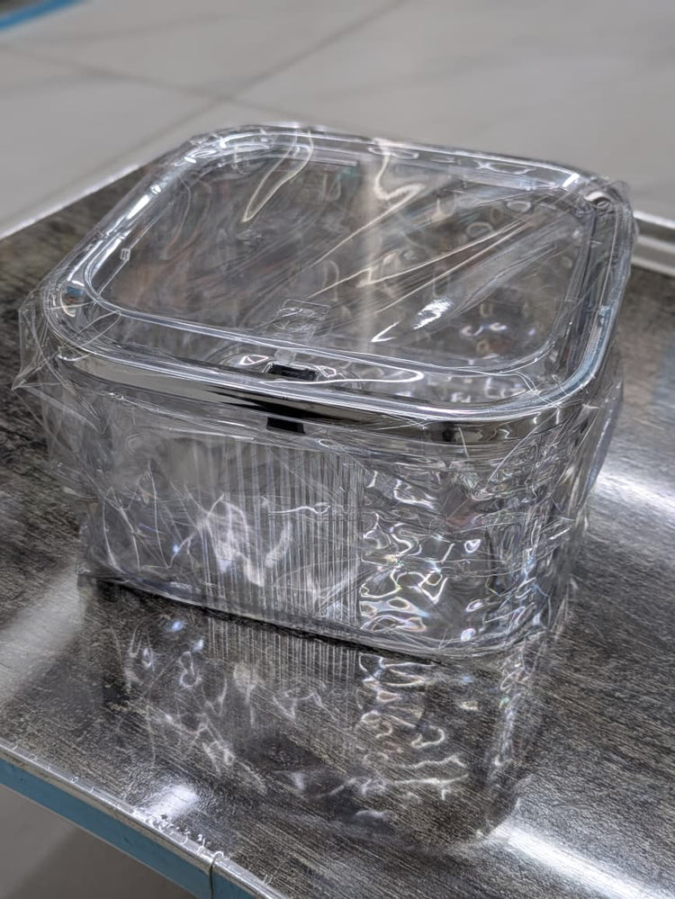 Organizer with lid large